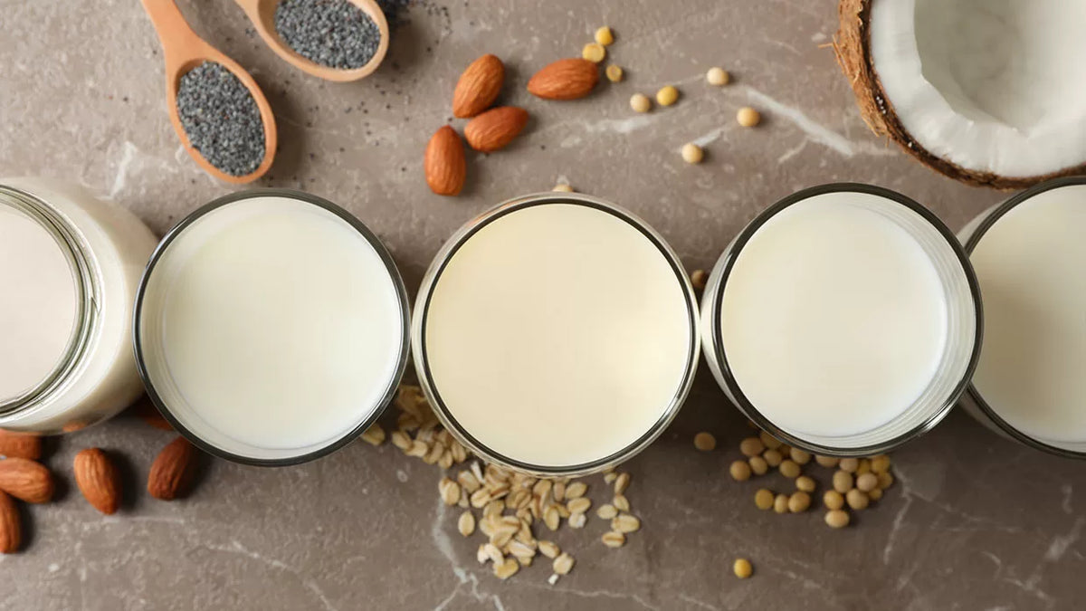 Low-Fat vs Full-Fat Coconut Milk